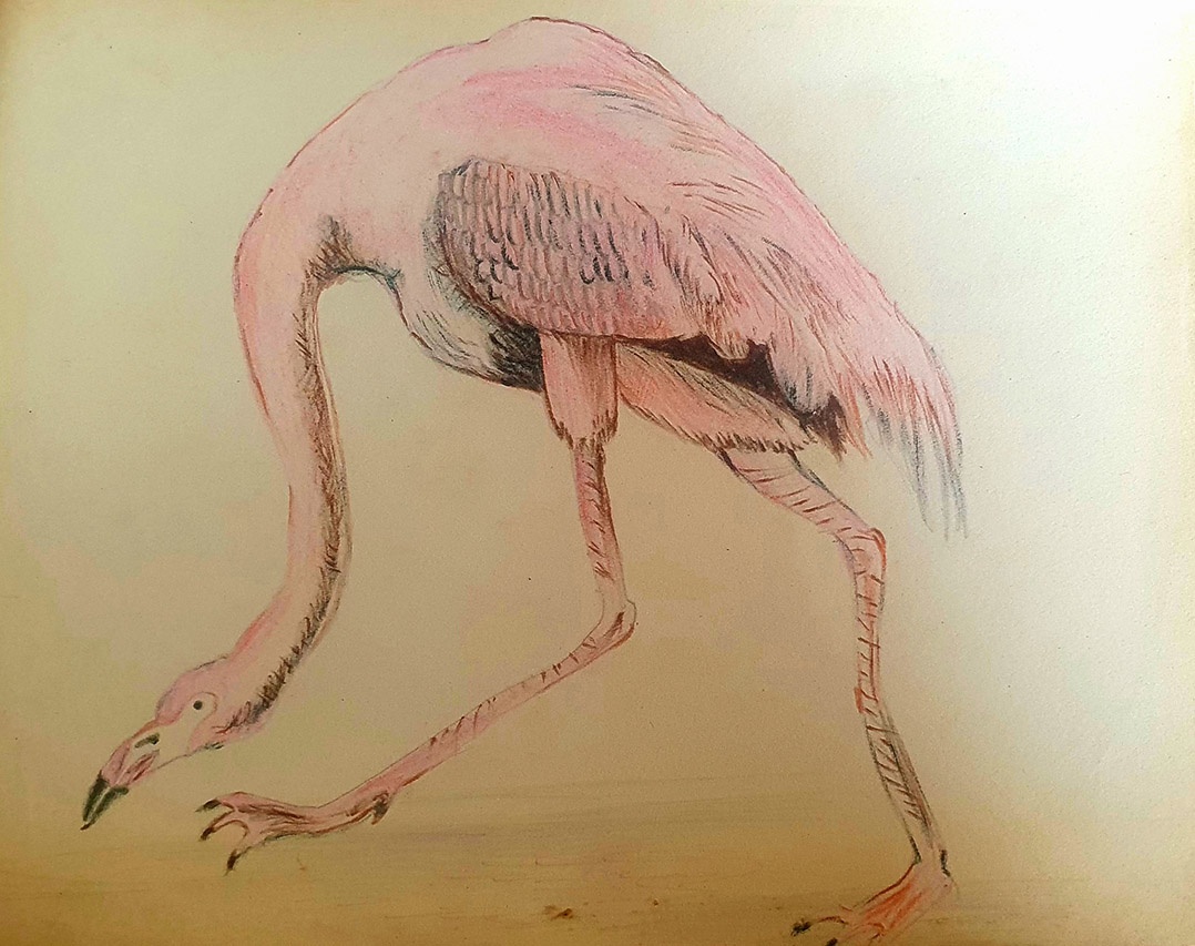 Artwork by Janaka Wijesundara