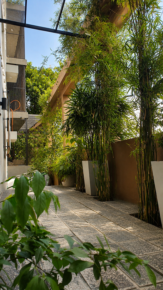 Multi-Unit House