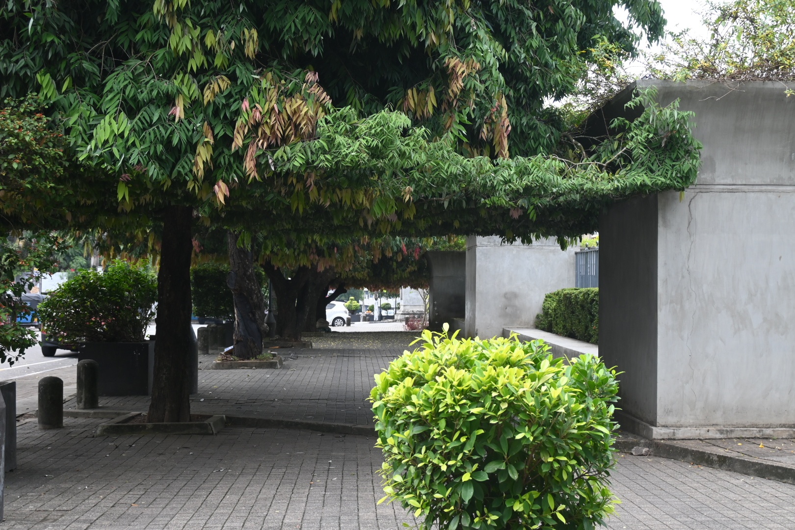 Jayawardenepura Streetscape