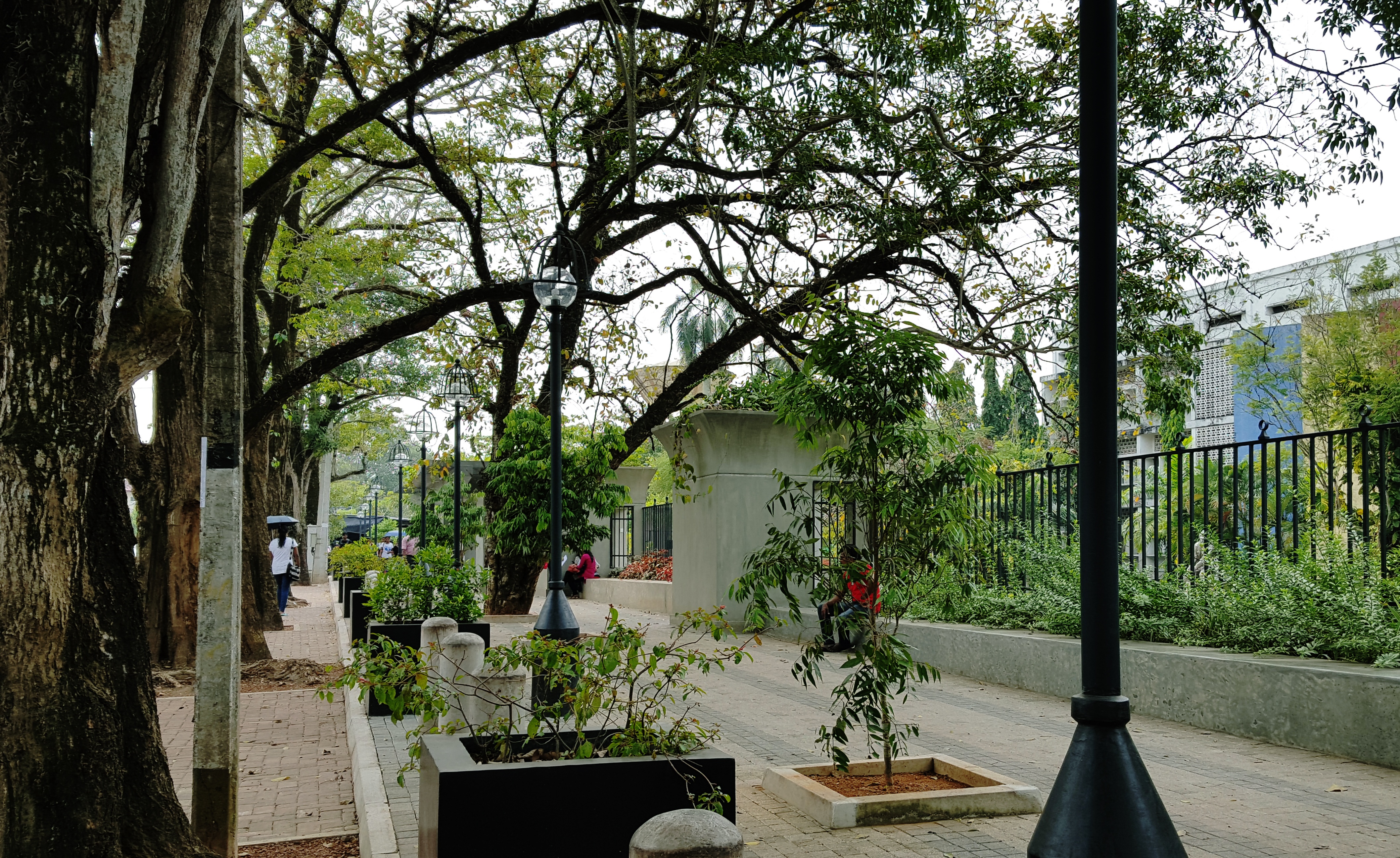 Jayawardenepura Streetscape